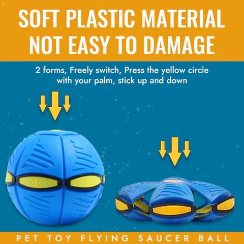 Fun Interactive Bouncy Dog Toy