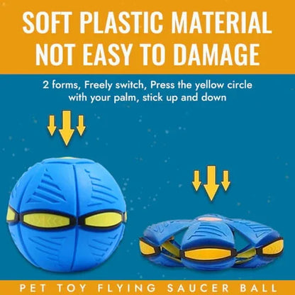 Fun Interactive Bouncy Dog Toy
