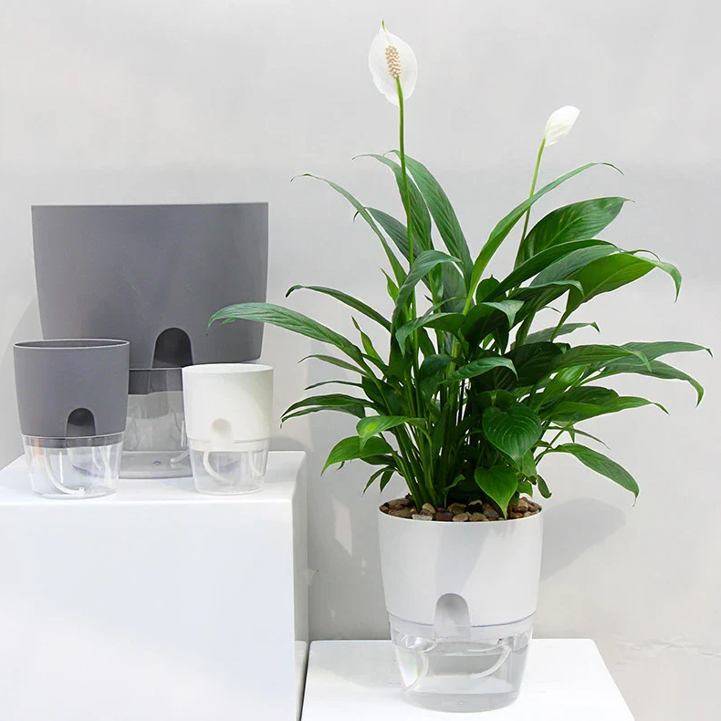 Automatic Watering Flower Pot - Hehif