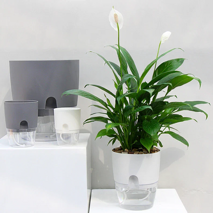 Automatic Watering Flower Pot - Hehif