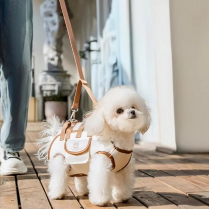 Versatile Pet Carrier Backpack for Small Pets