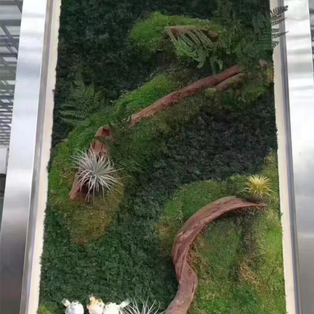 Natural Green Moss for Pots and Home Decoration