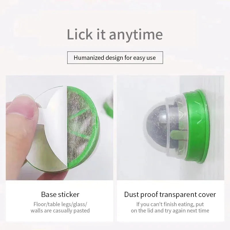 Fun Cat Interactive Wall Toy