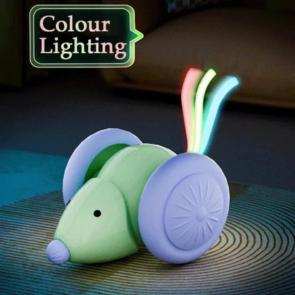 Fun Electronic Laser Cat Play Toy