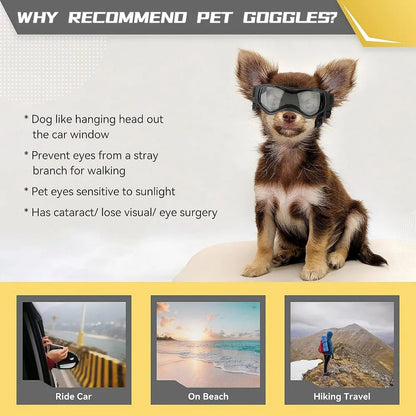 Comfortable Pet Sunglasses for Small Dogs