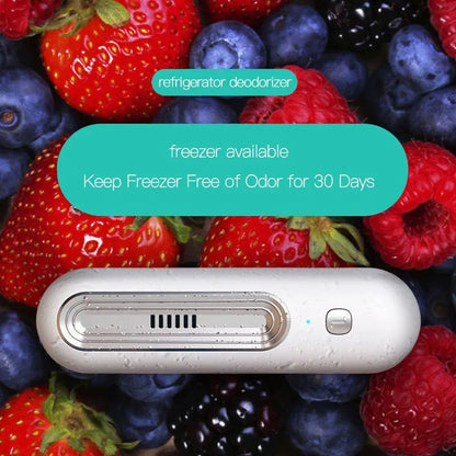 Mini Air Cleaner and Fridge Freshener