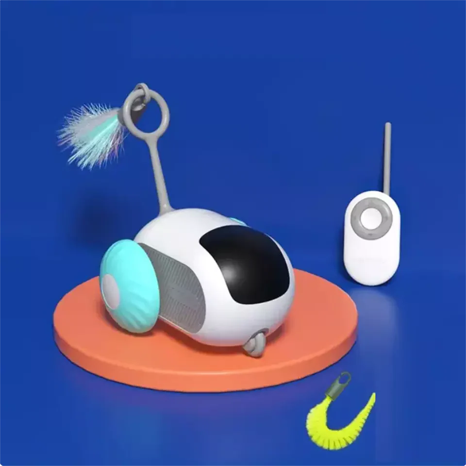 Fun Pet RC Racing Car Toy