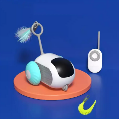 Fun Pet RC Racing Car Toy