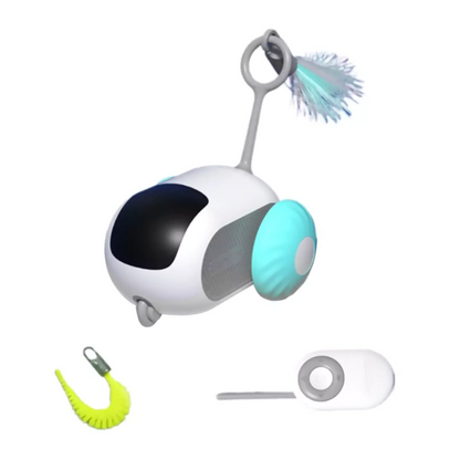 Fun Pet RC Racing Car Toy