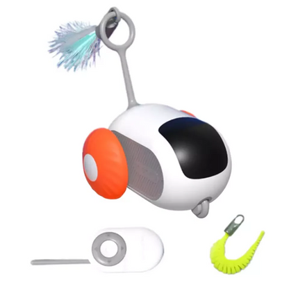Fun Pet RC Racing Car Toy