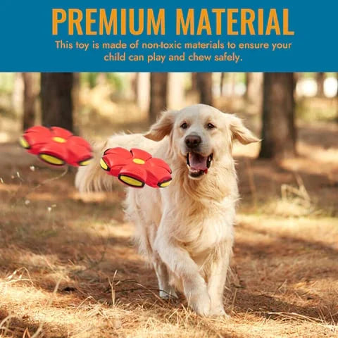 Fun Interactive Bouncy Dog Toy