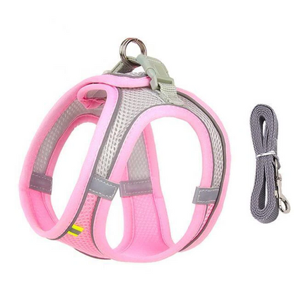 Comfortable Pet Harness and Leash Set for Small Pets