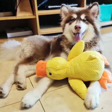 Soothing Rubber Pet Toy