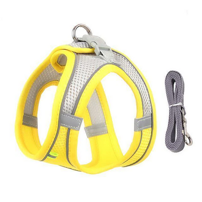 Comfortable Pet Harness and Leash Set for Small Pets