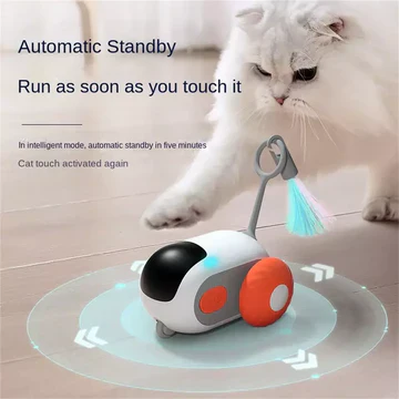 Fun Pet RC Racing Car Toy