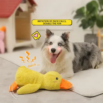 Soothing Rubber Pet Toy