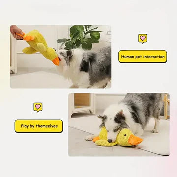 Soothing Rubber Pet Toy