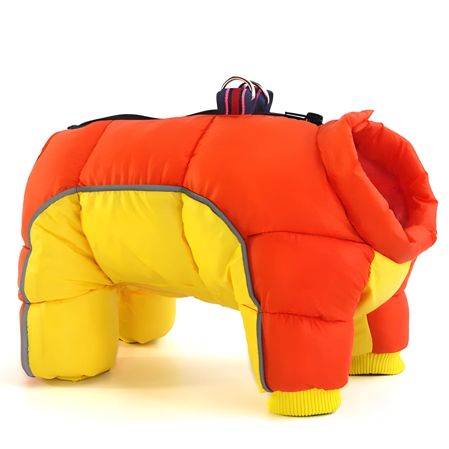 Rainproof Dog Jacket & Coat