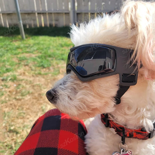 Comfortable Pet Sunglasses for Small Dogs - Hehif
