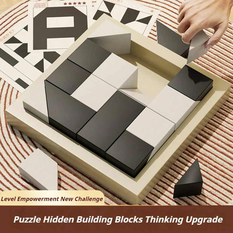 Learning Concealed Brick Challenge Toys