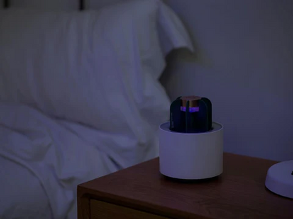 Unique Desert Table Lamp