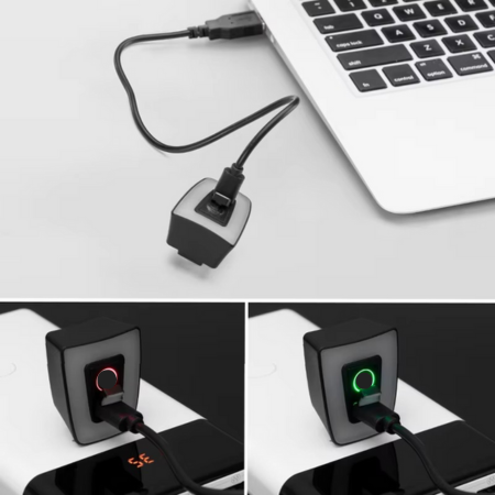 Bright LED Bike Rear Safety Light for Night Cycling