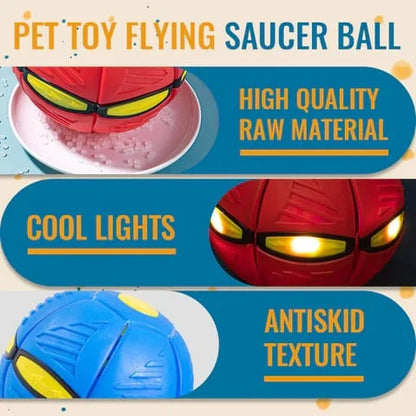 Fun Interactive Bouncy Dog Toy
