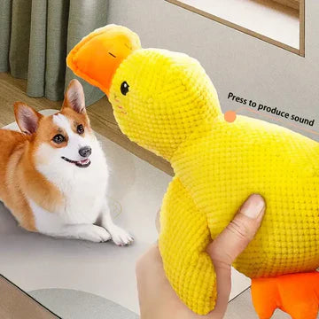 Soothing Rubber Pet Toy
