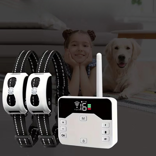 Portable Dog Training Collar Set Waterproof Rechargeable - Hehif
