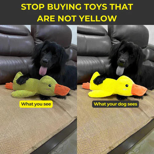 Soothing Rubber Pet Toy