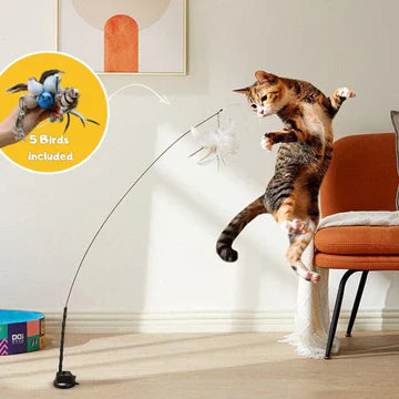 Fun Feather Teaser Cat Toy Set