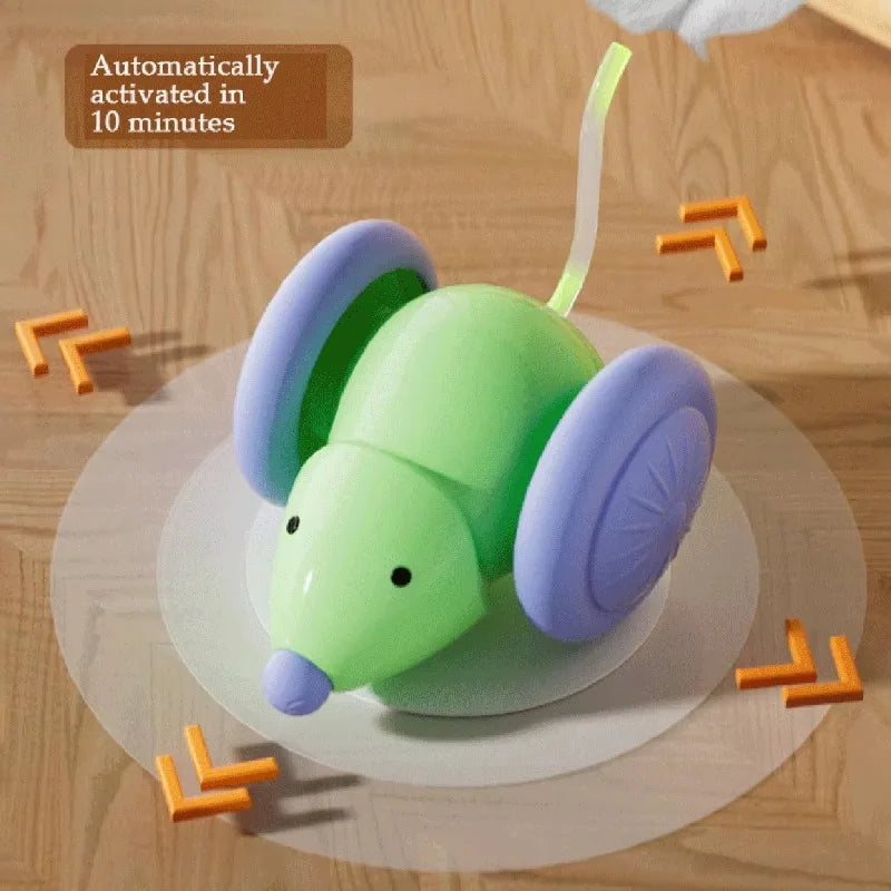 Fun Electronic Laser Cat Play Toy