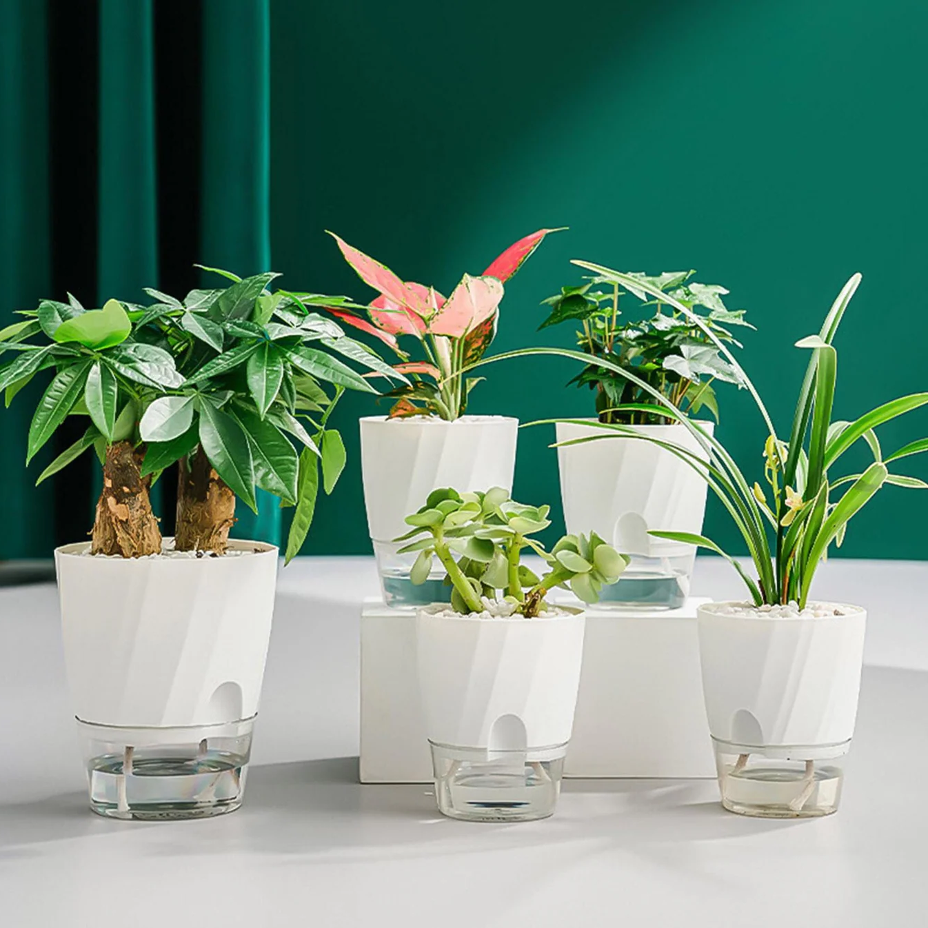 Automatic Watering Flower Pot
