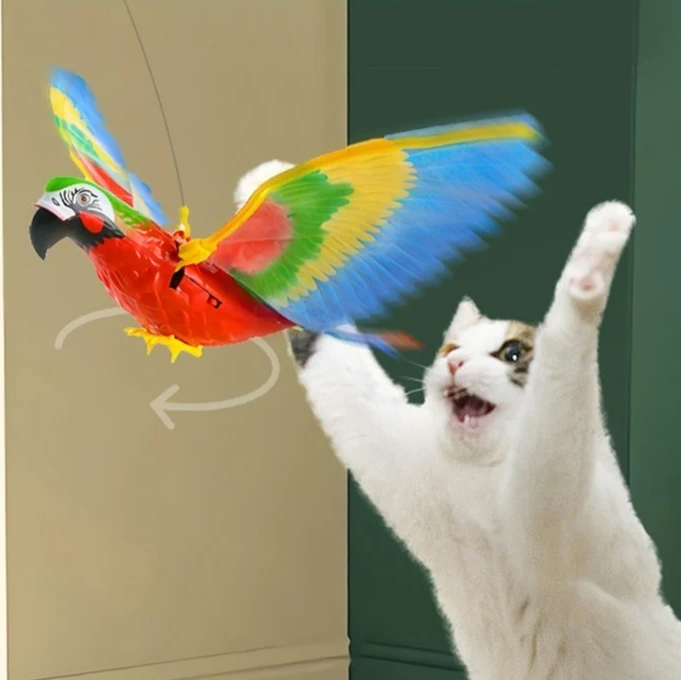 Fun Feather Teaser Cat Toy - Hehif