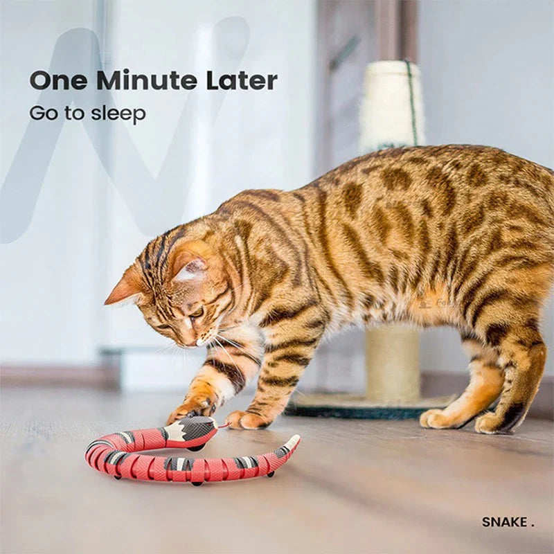 Fun Feline Play Toys