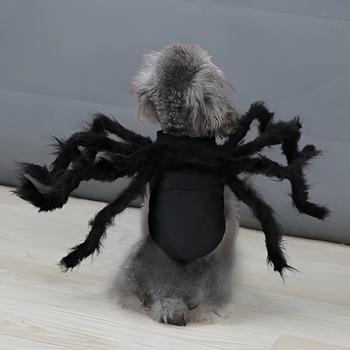 Hilarious Spider Pet Costume - Hehif