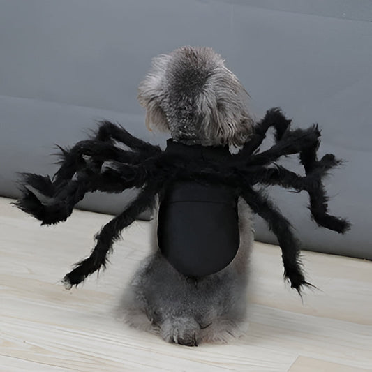 Hilarious Spider Pet Costume - Hehif