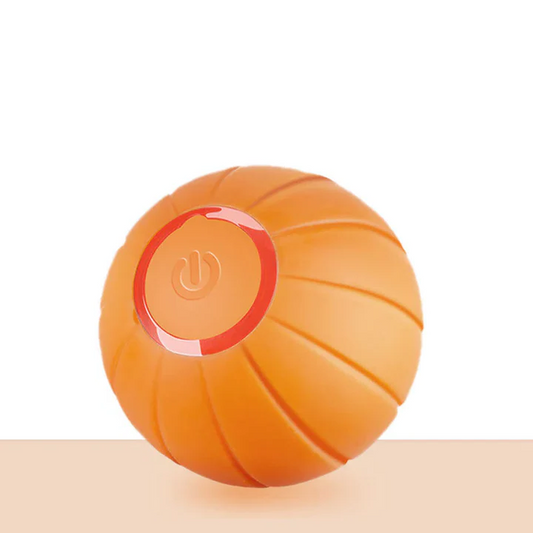 Limited Edition Fun Pet Ball - Hehif