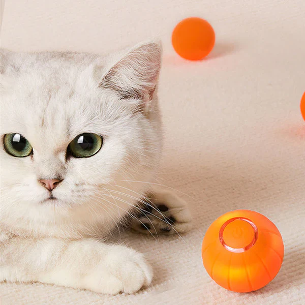 Limited Edition Fun Pet Ball