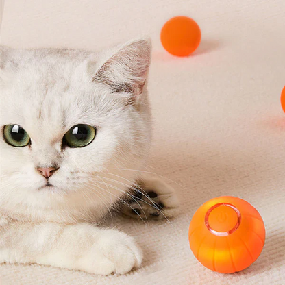 Limited Edition Fun Pet Ball