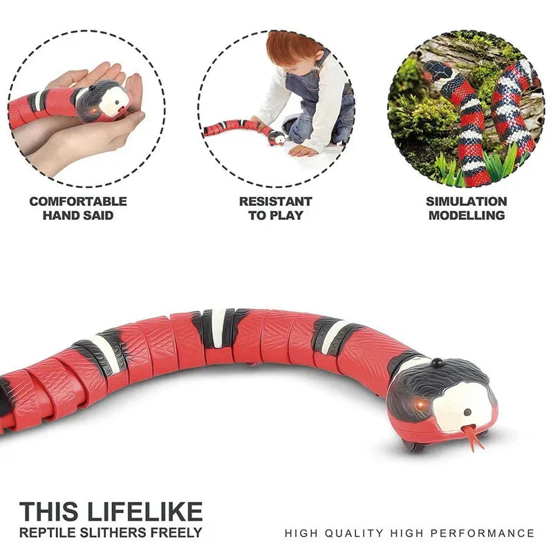 Fun Feline Play Toys