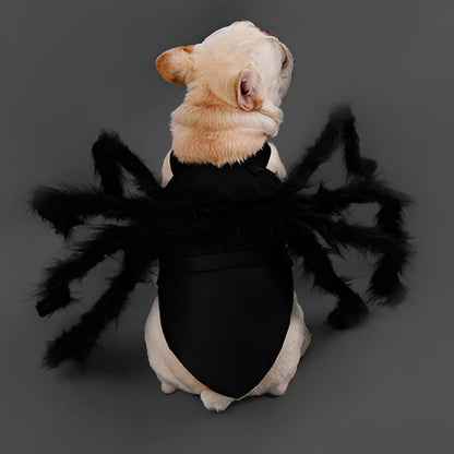 Hilarious Spider Pet Costume