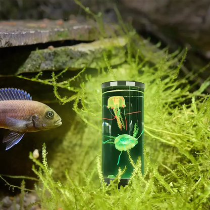 Colorful LED Table Aquarium Lamp