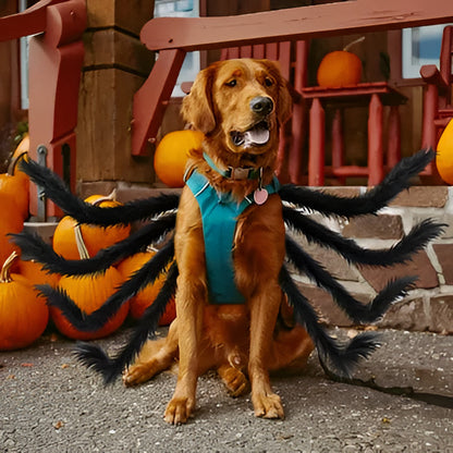 Hilarious Spider Pet Costume
