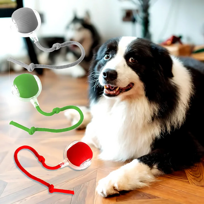 Fun Electronic Pet Play Ball - Hehif