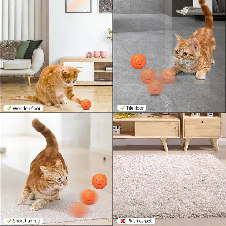 Limited Edition Fun Pet Ball
