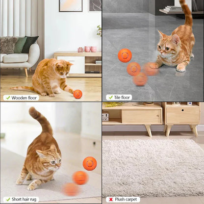 Limited Edition Fun Pet Ball