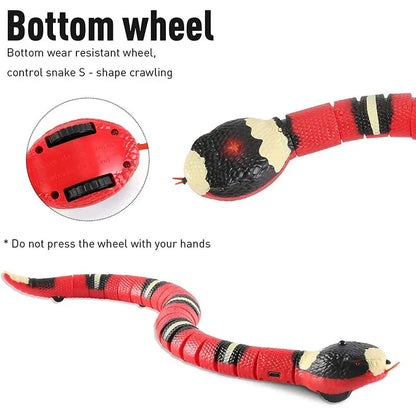 Fun Feline Play Toys