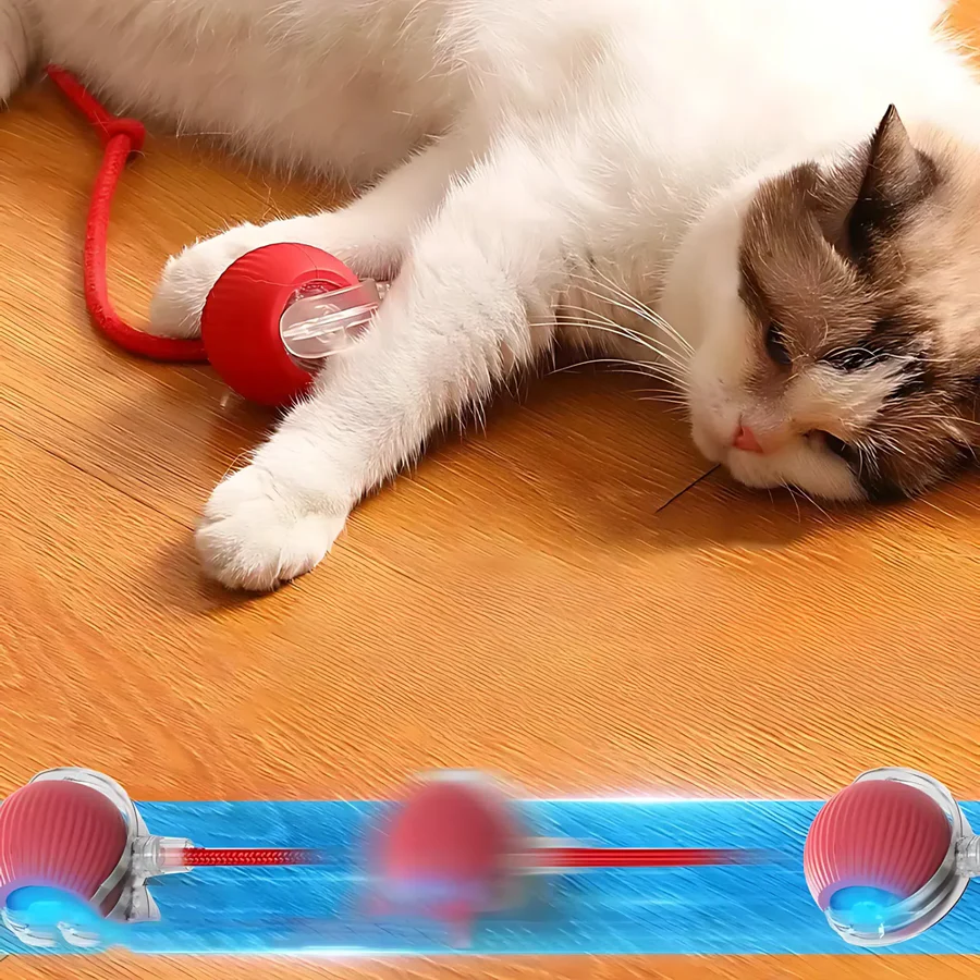 Fun Electronic Pet Play Ball