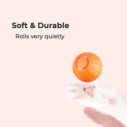 Limited Edition Fun Pet Ball